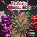 BubbleGummieZ (T.H. Seeds) Féminisée