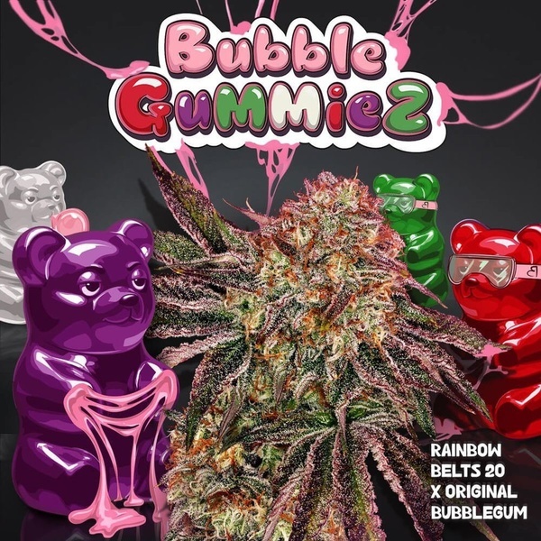 BubbleGummieZ (T.H. Seeds) Féminisée