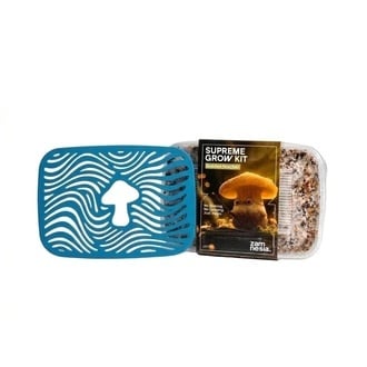 Coffret Anniversaire Champignons