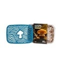 Coffret Anniversaire Champignons
