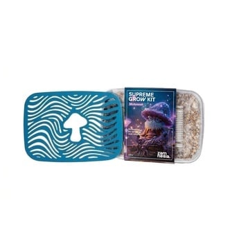 Coffret Anniversaire Champignons