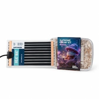 Coffret Anniversaire Champignons