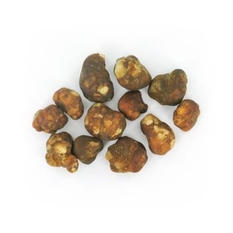 Truffes magiques Mexicana