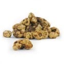 Truffes magiques Tampanensis