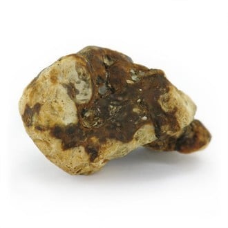 Truffes magiques Atlantis