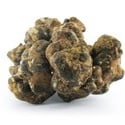 Truffes Magiques Pandora