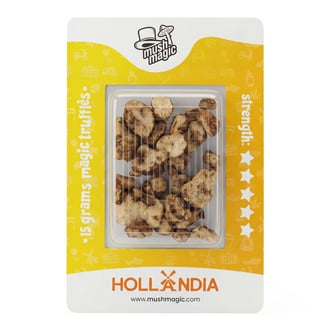 Truffes Magiques Hollandia