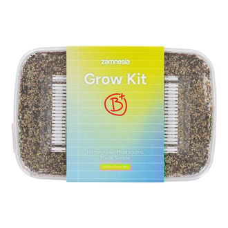 Kit de culture Zamnesia 'B+'