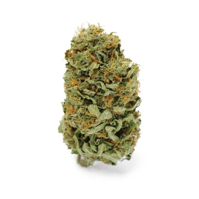 Amnesia Haze | Zamnesia Seeds | Graines De Cannabis - Zamnesia