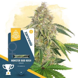 Monster Bud Kush (Zamnesia Seeds) féminisée