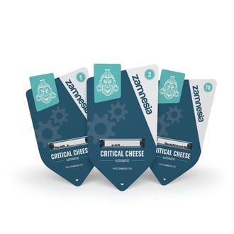 Critical Cheese Auto (Zamnesia Seeds) féminisée