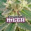 Crystal M.E.T.H. (Dr. Underground) féminisée