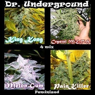 Killer Mix (Dr. Underground) féminisée