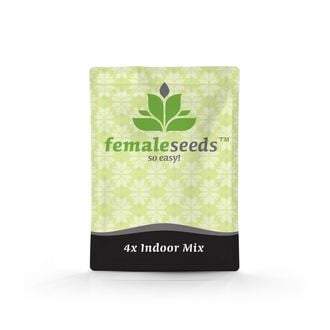 Indoor Mix (Female Seeds) féminisée