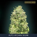Auto Afghan Skunk (Advanced Seeds) féminisée