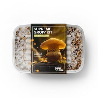 Kit de Culture Zamnesia SUPREME 'Golden Teacher'