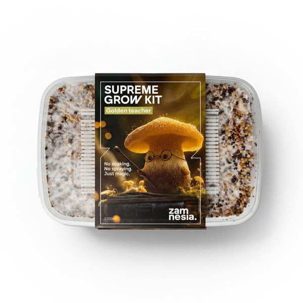 Kit de Culture Zamnesia SUPREME 'Golden Teacher'