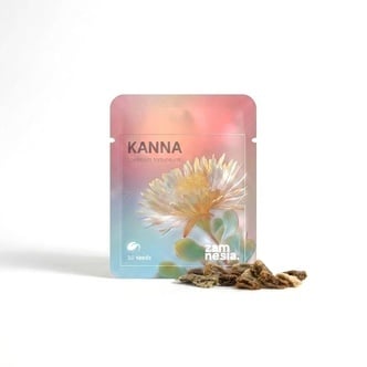 Kanna (Sceletium tortuosum) 10 graines