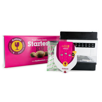 Starters Kit Royal Queen Seeds