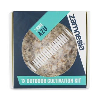 Kit de culture de champignons magiques en extérieur (Azurescens)