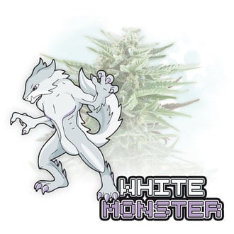 White Monster Auto (Zamnesia Seeds) féminisée