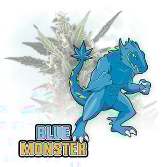 Blue Monster Auto (Zamnesia Seeds) féminisée