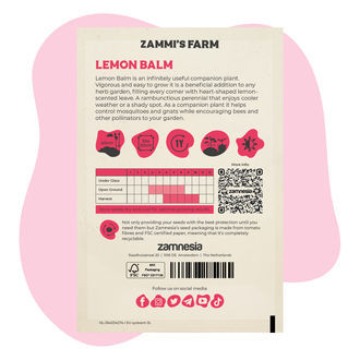 Mélisse Officinale (Melissa officinalis) Buddy Pack