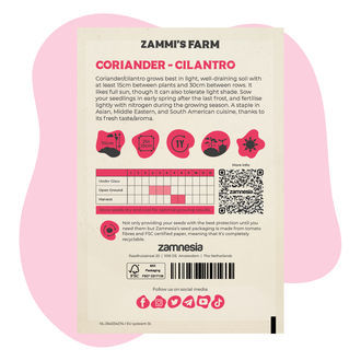 Coriandre (Coriandrum sativum) Buddy Pack