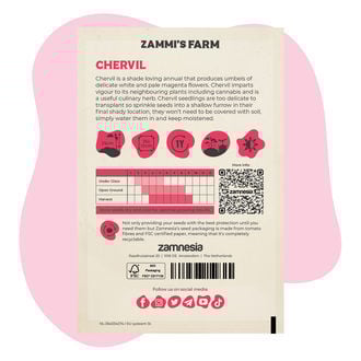 Cerfeuil (Anthriscus cerefolium) Buddy Pack