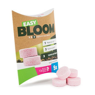 Easy Bloom Booster De Floraison