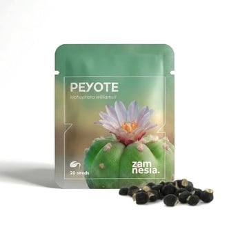 Peyote (Lophophora williamsii) 20 graines