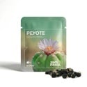 Peyote (Lophophora williamsii) 20 graines