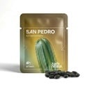 San Pedro (Echinopsis pachanoi) 20 graines