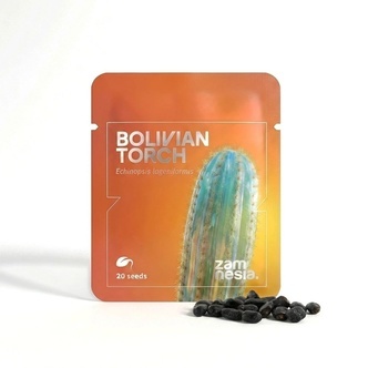 Torche Bolivienne (Echinopsis lageniformis) 20 graines