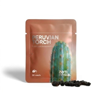 Torche P&eacute;ruvienne (Echinopsis peruviana) 20 graines