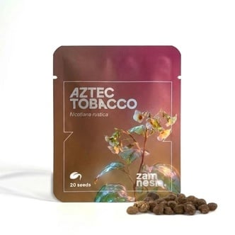 Tabac Azt&egrave;que (Nicotiana rustica) 20 graines