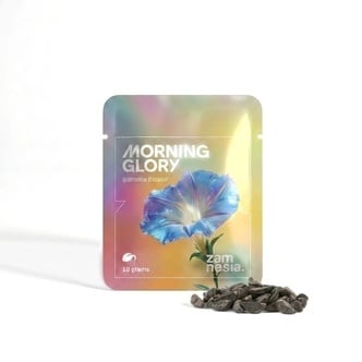 Morning Glory Graines (Ipomoea tricolor) 10g