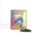 Morning Glory Graines (Ipomoea tricolor) 10g