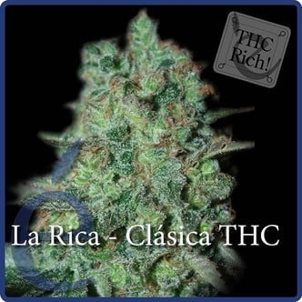 La Rica Classic THC (Elite Seeds) féminisée