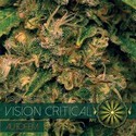 Vision Critical Autoflowering (Vision Seeds) Féminisée