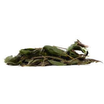 Bobinsana (Calliandra angustifolia) 20 grammes