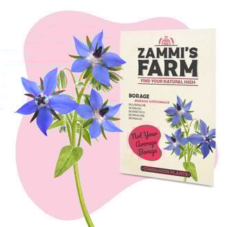 Buddy Mix Pack NUTRIMENT