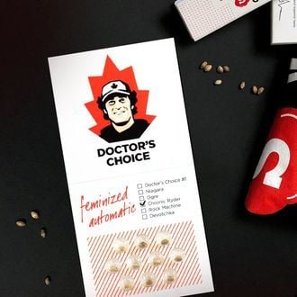 Chronic Ryder Auto (Doctor's Choice) féminisée