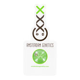 Blue Magic (Amsterdam Genetics) Féminisée