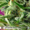 Chem Beyond Diesel CBD (Sweet Seeds) féminisée