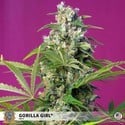 Gorilla Girl (Sweet Seeds) Féminisée