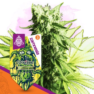 Sticky Beast (Zamnesia Seeds) f&eacute;minis&eacute;e