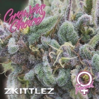 Zkittlez (Growers Choice) Féminisée