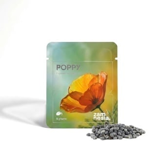 Pavot (Papaver somniferum) 5 grammes
