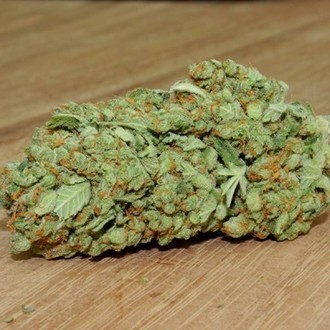 Thunderstruck (Sumo Seeds) féminisée